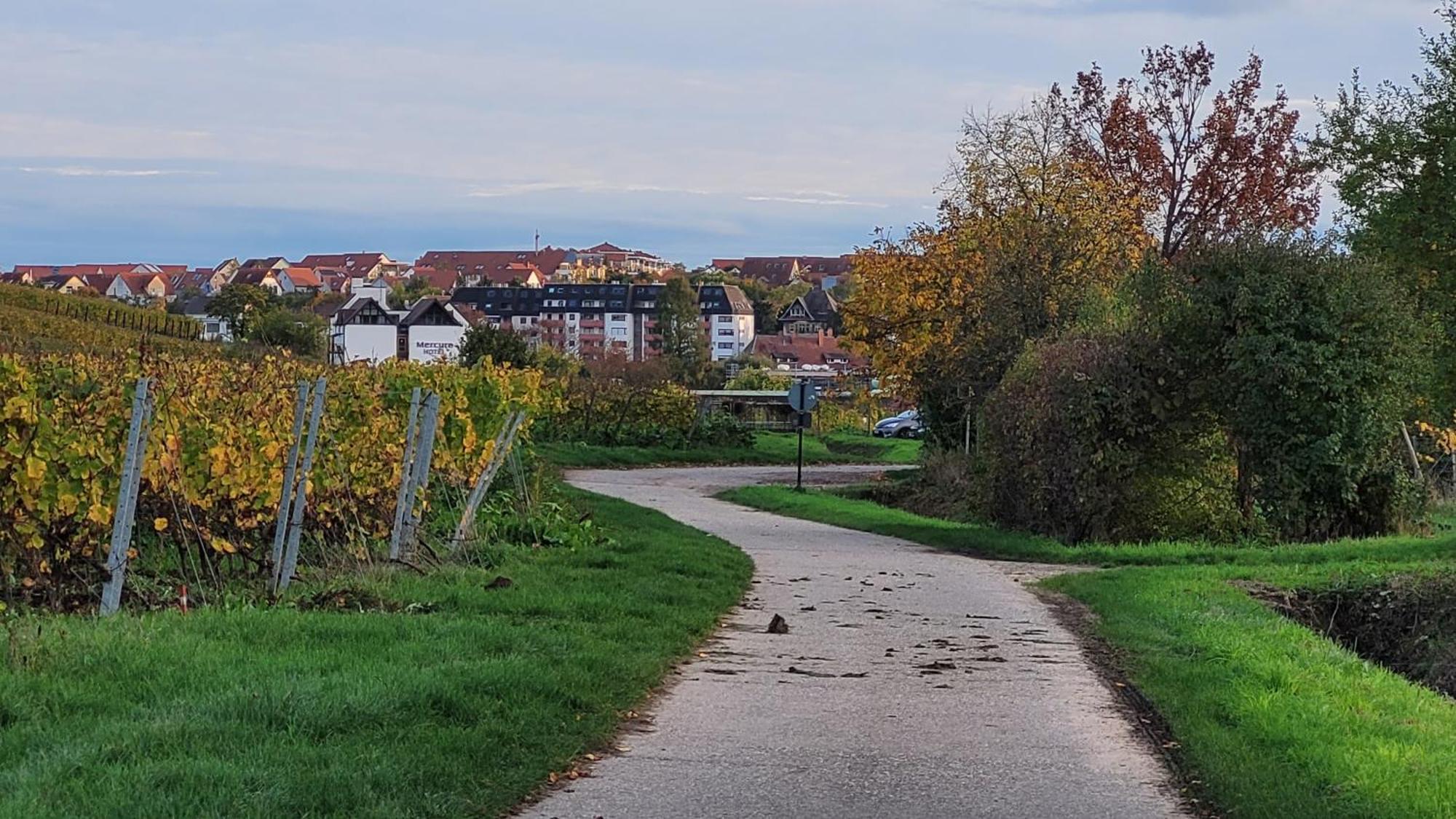 Ihr Bett Mit Blick Auf Die Weinberge Bad Dürkheim Exterior foto