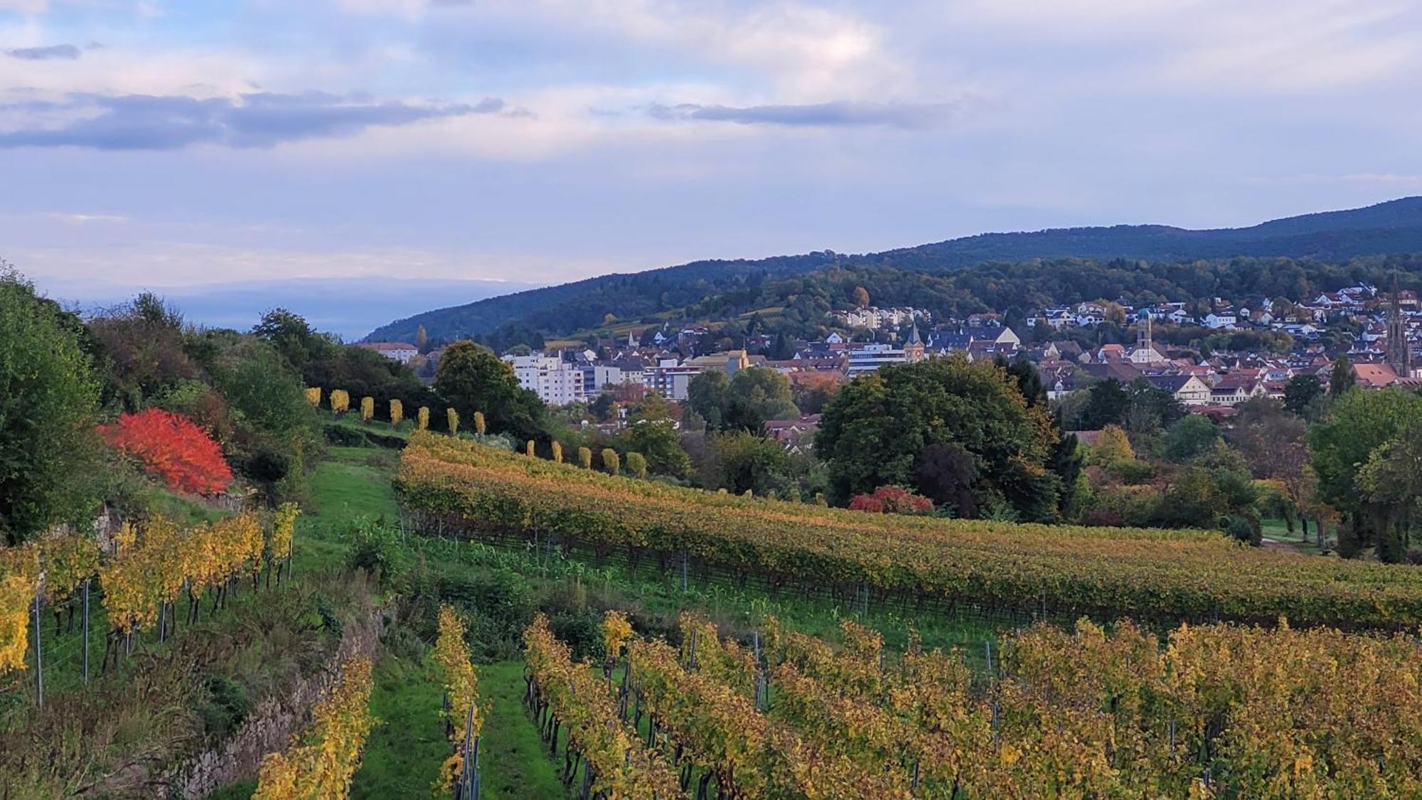 Ihr Bett Mit Blick Auf Die Weinberge Bad Dürkheim Exterior foto