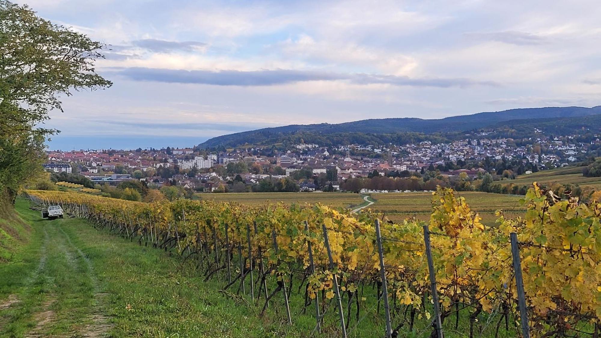 Ihr Bett Mit Blick Auf Die Weinberge Bad Dürkheim Exterior foto